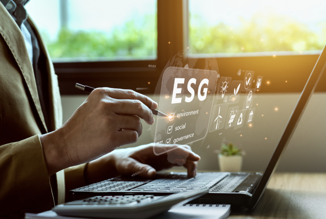 Türkiye Sürdürülebilirlik Raporlama Standartları (TSRS)